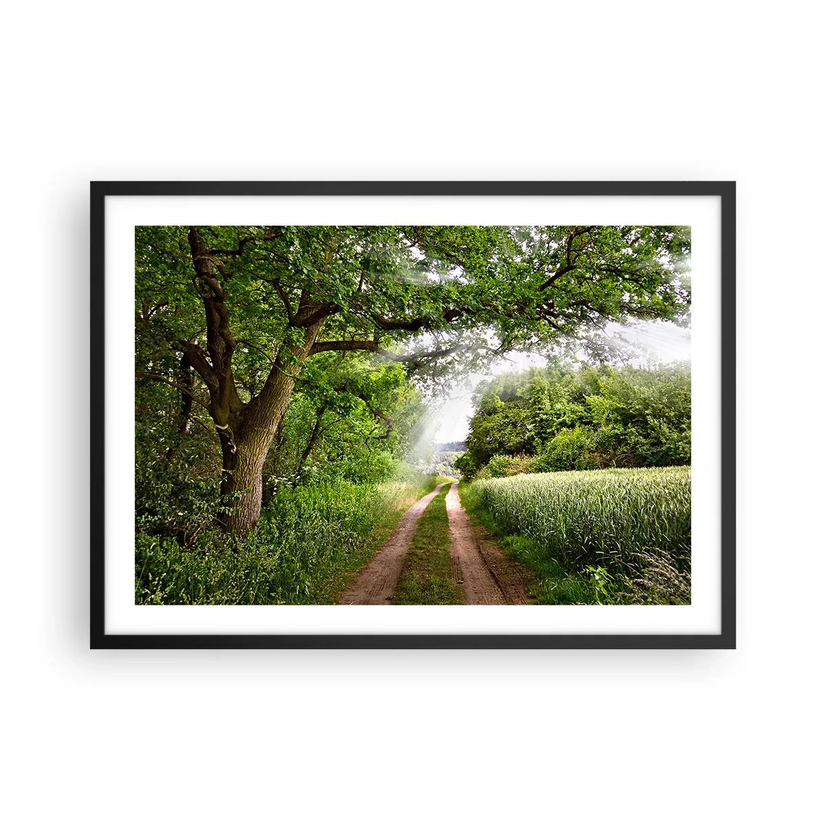 Plakat w czarnej ramie - Polna droga wśród zielonych drzew i promieni słońca - 70x50cm - Et in Arcadia ego - Nowoczesna dekoracja ścienna do salonu i sypialni ARTTOR