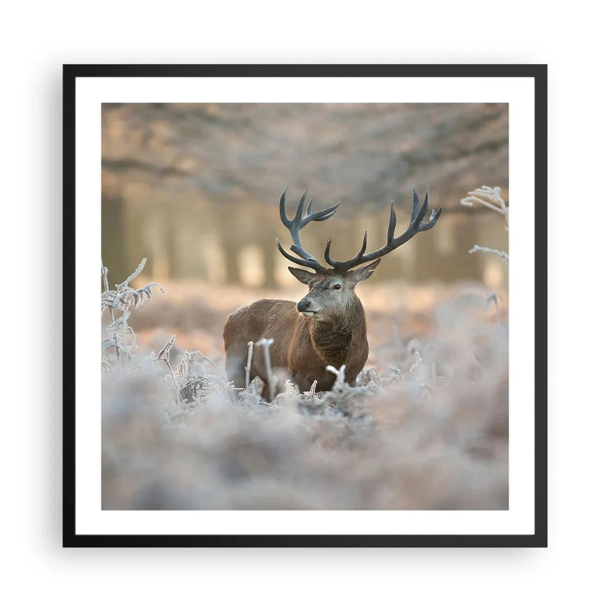 Plakat w czarnej ramie - Rześki poranek - 60x60 cm