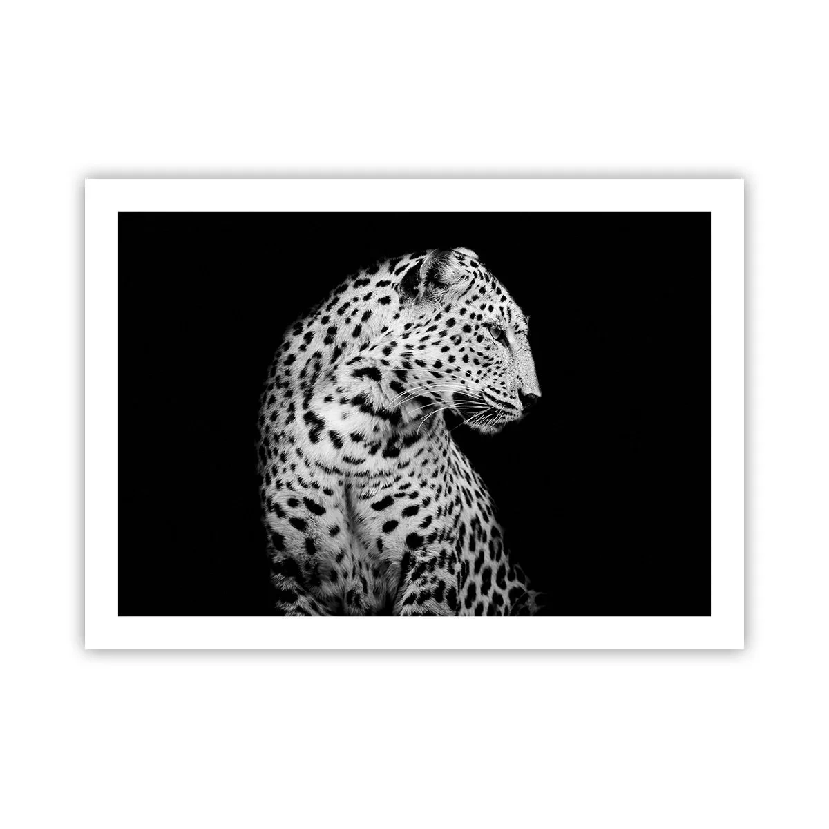 Plakat - Prawy profil doskonały! - 70x50 cm