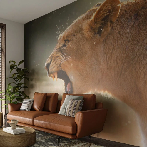 Fototapeta Premium Sand - Spróbuj nie posłuchać - Zwierzęta, Lew, Afryka - 350x256 cm