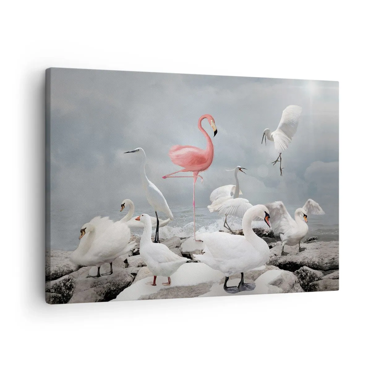 Obraz na płótnie - Różowy flaming wśród białych łabędzi na tle jeziora - 70x50cm - Skąd się tu wziąłem? - Nowoczesna dekoracja ścienna do salonu i sypialni ARTTOR