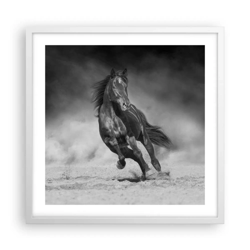 Plakat w białej ramie - Godny samego emira - 50x50 cm