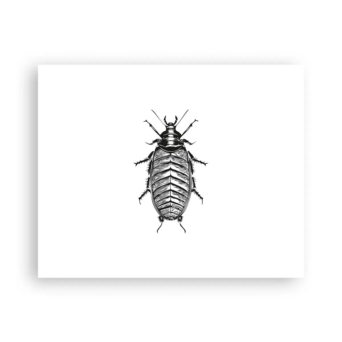 Plakat - Co za okaz! - 50x40 cm