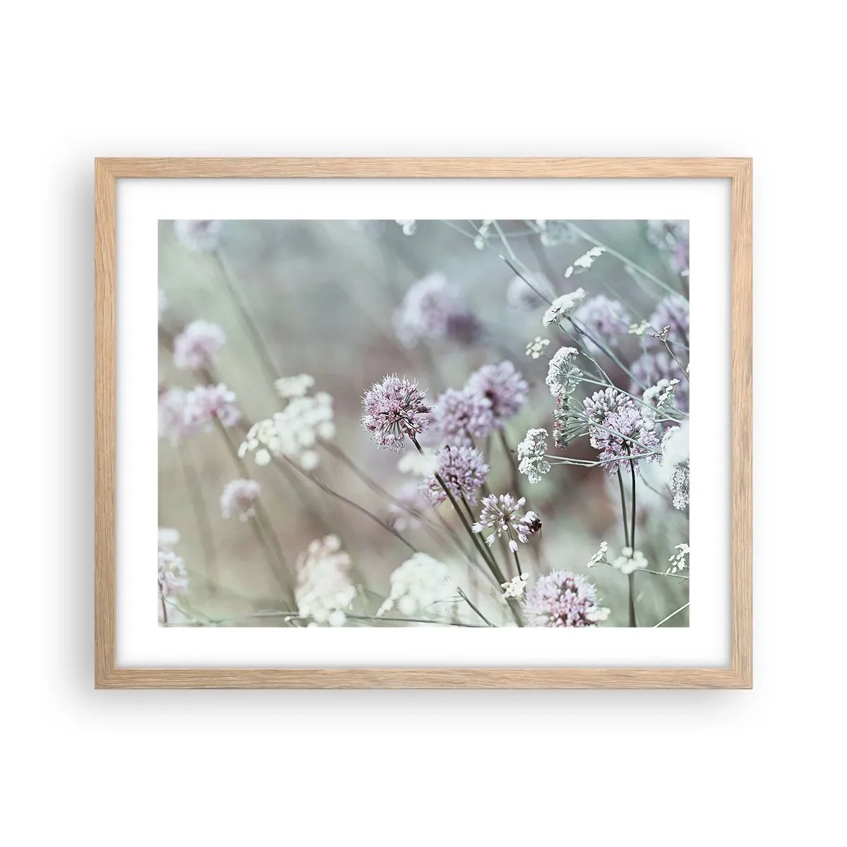 Plakat w ramie jasny dąb - Słodkie filigrany ziół - 50x40 cm