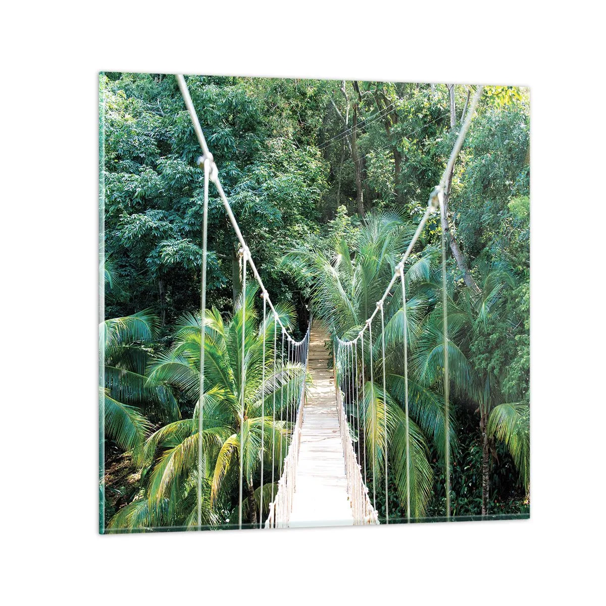 Obraz na szkle - Welcome to the jungle! - 50x50 cm