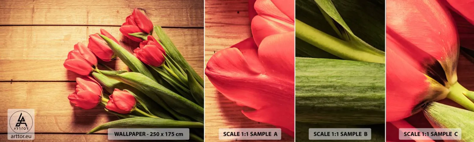 Fototapeta Próbka Samoprzylepna Deluxe Sticker - Wiosenne wyznanie - Kwiaty, Tulipany, Bukiet Kwiatów - 100x30 cm