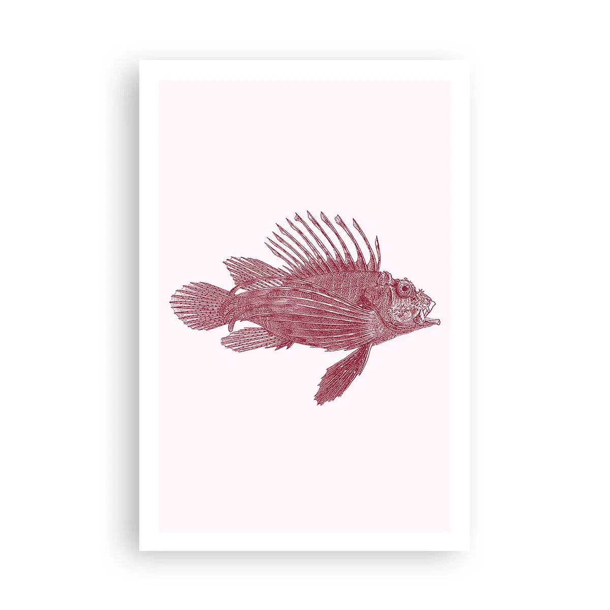 Plakat - Mieszkanka egzotycznych wód - 61x91 cm