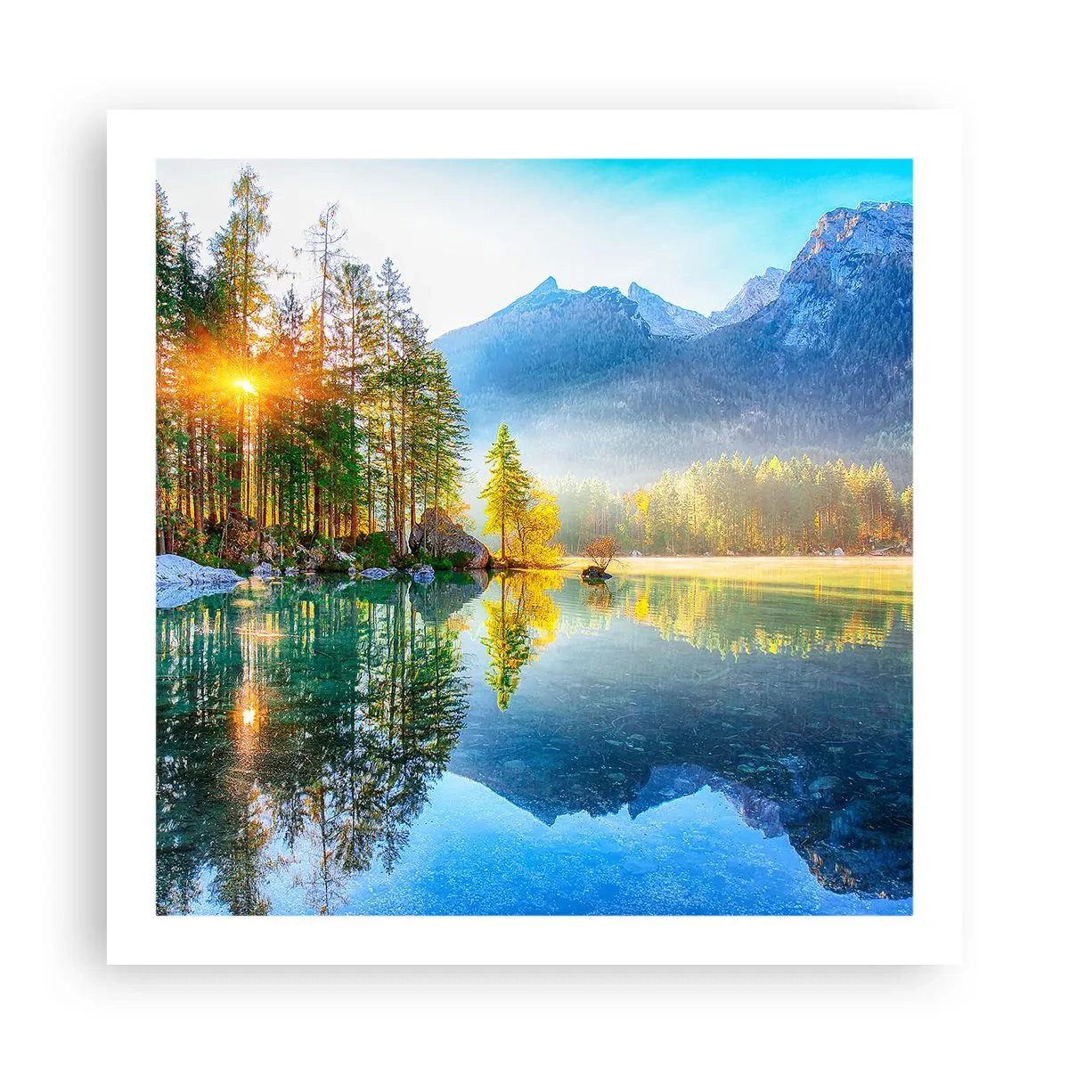 Plakat - Majestat i słodycz - 60x60 cm