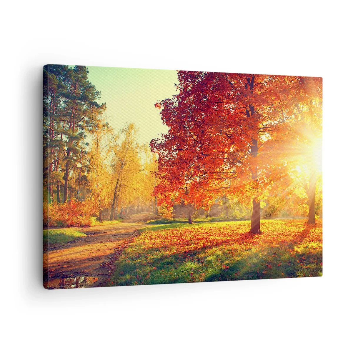 Obraz na płótnie - Jesienny park oświetlony promieniami słońca - 70x50cm - Rude jest piękne - Nowoczesna dekoracja ścienna do salonu i sypialni ARTTOR