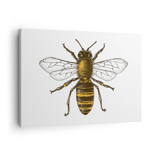 Obraz na płótnie - Szczegółowa ilustracja pszczoły na białym tle - 70x50cm - Piękna i dobra - Nowoczesna dekoracja ścienna do salonu i sypialni ARTTOR