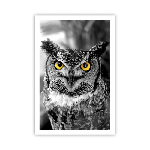 Plakat - Nic się nie ukryje - 61x91 cm