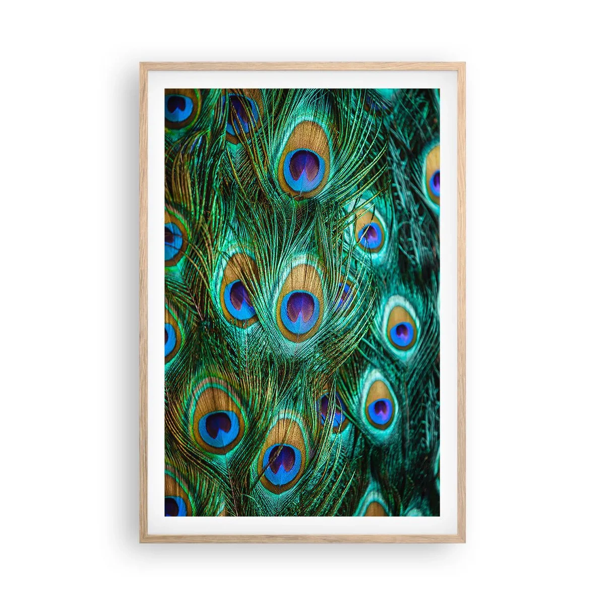 Plakat w ramie jasny dąb - Pawiookie spojrzenie - 61x91 cm