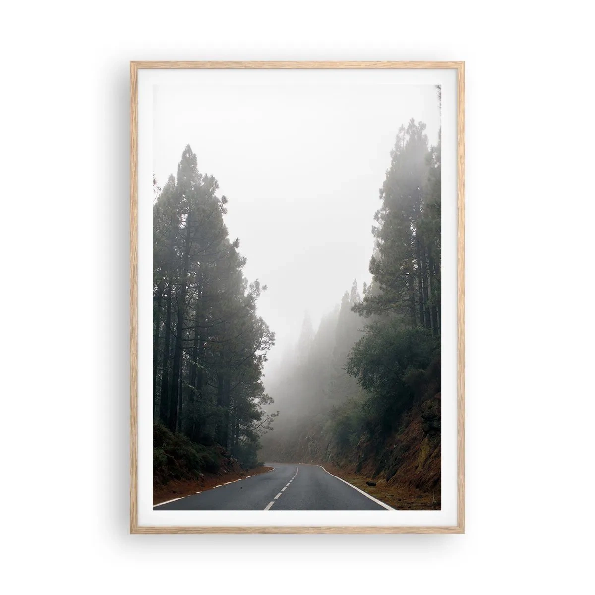Plakat w ramie jasny dąb - Opowieść magicznego lasu - 70x100 cm
