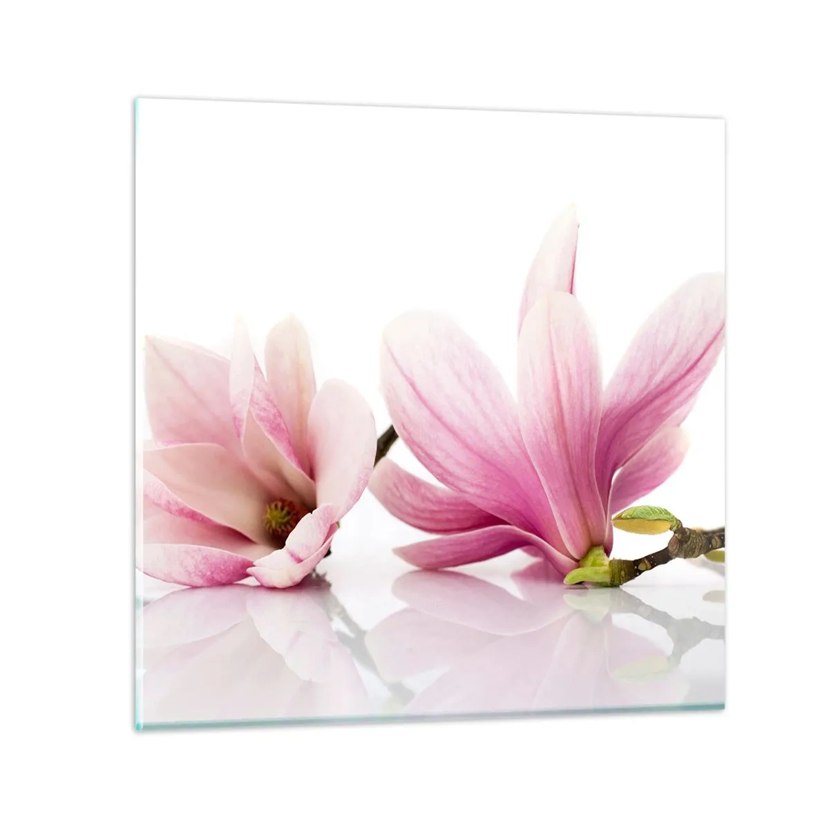 Obraz na szkle - Delikatne jak powiew wiosny - 60x60 cm