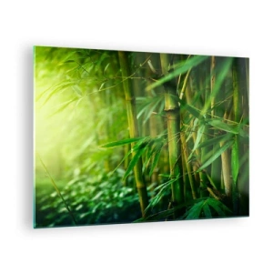 Obraz na szkle - Zielony bambusowy las w promieniach słońca - 70x50cm - Poznać zieleń samą w sobie - Nowoczesna dekoracja ścienna do salonu i sypialni ARTTOR