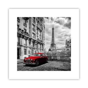 Plakat - Drapieżnik w mieście - 30x30 cm