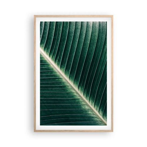 Plakat w ramie jasny dąb - Rytm natury - 61x91 cm
