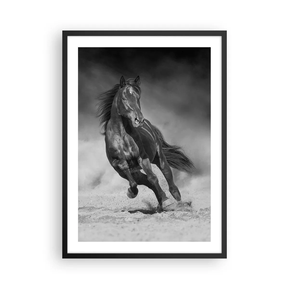 Plakat w czarnej ramie - Czarny koń w dynamicznym biegu - 50x70cm - Godny samego emira - Nowoczesna dekoracja ścienna do salonu i sypialni ARTTOR