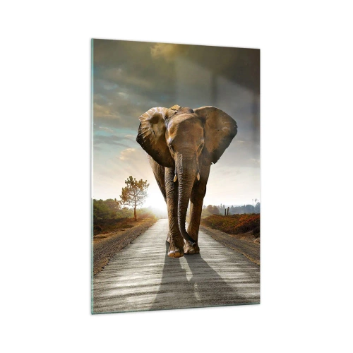 Obraz na szkle - Słoń kroczący drogą wśród krajobrazu o zachodzie słońca - 70x100cm - I wcale nie w składzie porcelany - Nowoczesna dekoracja ścienna do salonu i sypialni ARTTOR
