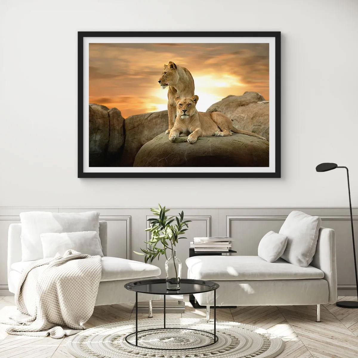 Plakat w czarnej ramie - Dwie lwice odpoczywające na skale podczas zachodu słońca - 70x50cm - Królewski majestat - Nowoczesna dekoracja ścienna do salonu i sypialni ARTTOR