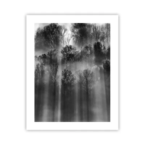 Plakat - W strumieniach światła - 40x50 cm