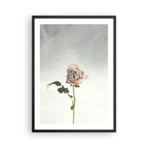 Plakat w czarnej ramie - Subtelna róża na tle delikatnego nieba - 50x70cm - Powitanie wiosny - Nowoczesna dekoracja ścienna do salonu i sypialni ARTTOR