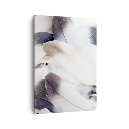 Obraz na płótnie - Delikatne, jasne pióra ułożone w miękką kompozycję - 50x70cm - Niemal anielskie - Nowoczesna dekoracja ścienna do salonu, kuchni i sypialni ARTTOR