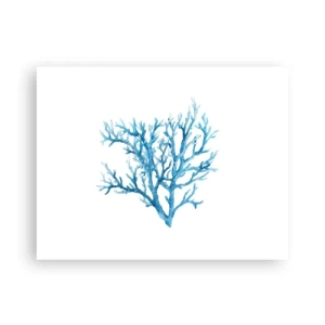 Plakat - Morski filigran - 40x30 cm