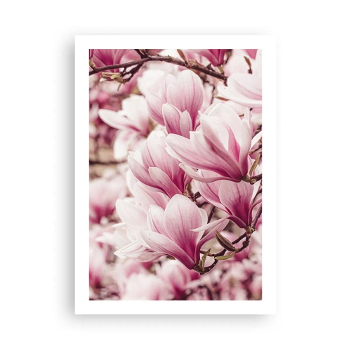 Plakat - Romantyczne kwitnące magnolie w delikatnym różu - 50x70cm - Wiosna jest różowa - Nowoczesna dekoracja ścienna do salonu, kuchni i sypialni ARTTOR