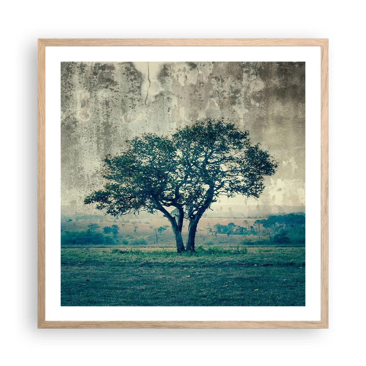Plakat w ramie jasny dąb - Jabłoń na błękitnym błoniu? - 60x60 cm