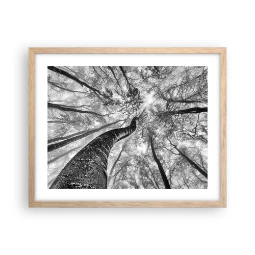 Plakat w ramie jasny dąb - Wyścig do światła - 50x40 cm