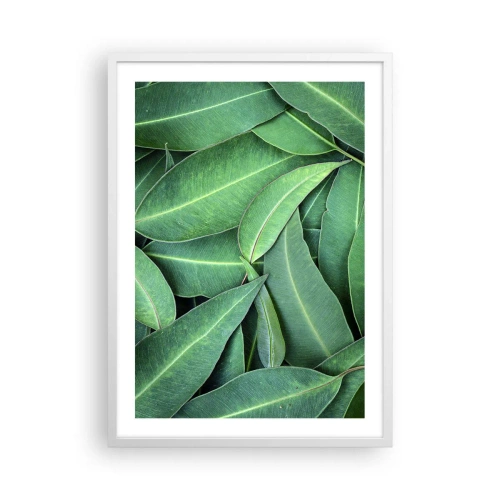 Plakat w białej ramie - Soczyste i świeże - 50x70 cm