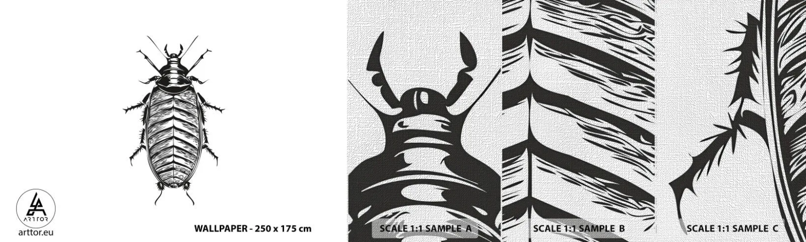 Fototapeta Próbka Premium Canvas - Co za okaz! - Owad, Karaluch, Minimalizm - 100x30 cm