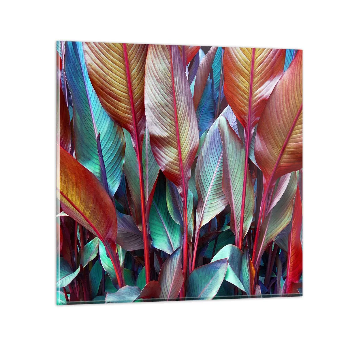 Obraz na szkle - Kolorowy gąszcz - 70x70 cm