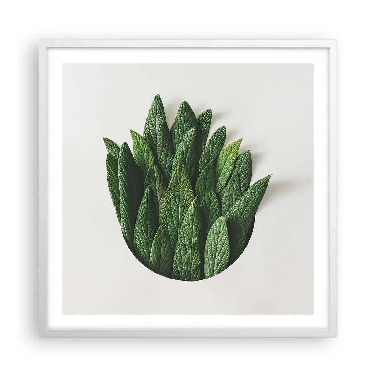 Plakat w białej ramie - Nieposkromiona ciekawość - 60x60 cm