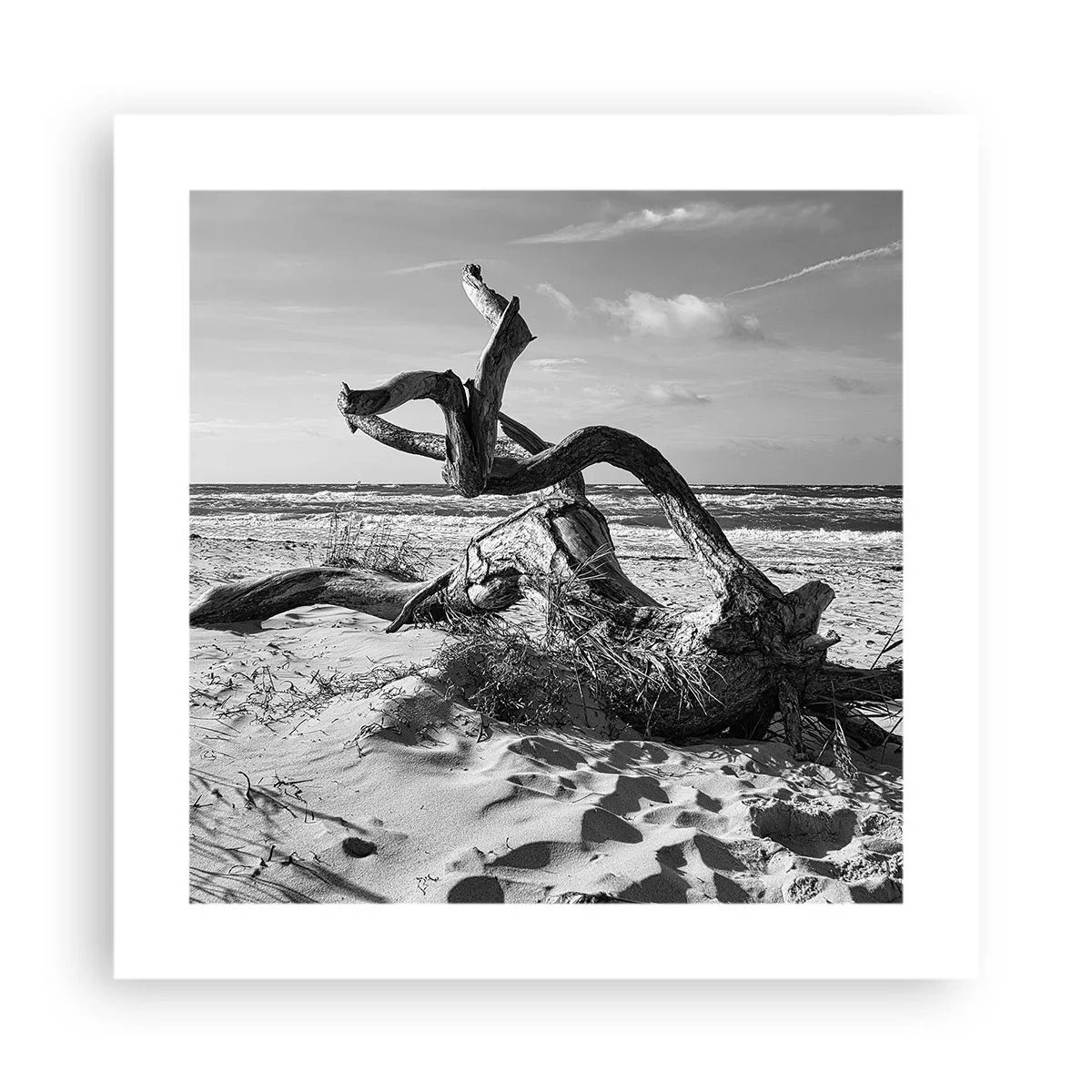 Plakat - Morska rzeźba - 40x40 cm