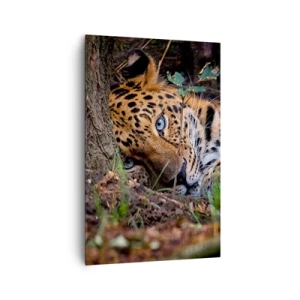 Obraz na płótnie - Leżący lampart w cieniu drzew - 80x120cm - Zaufaj mi - Nowoczesna dekoracja ścienna do salonu i sypialni ARTTOR