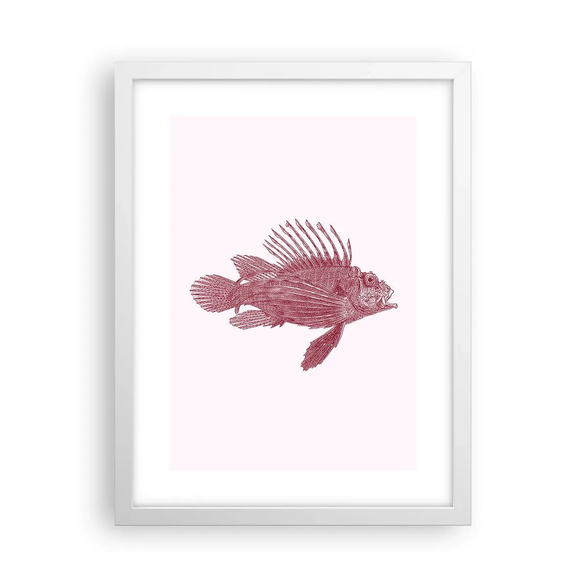 Plakat w białej ramie - Mieszkanka egzotycznych wód - 30x40 cm