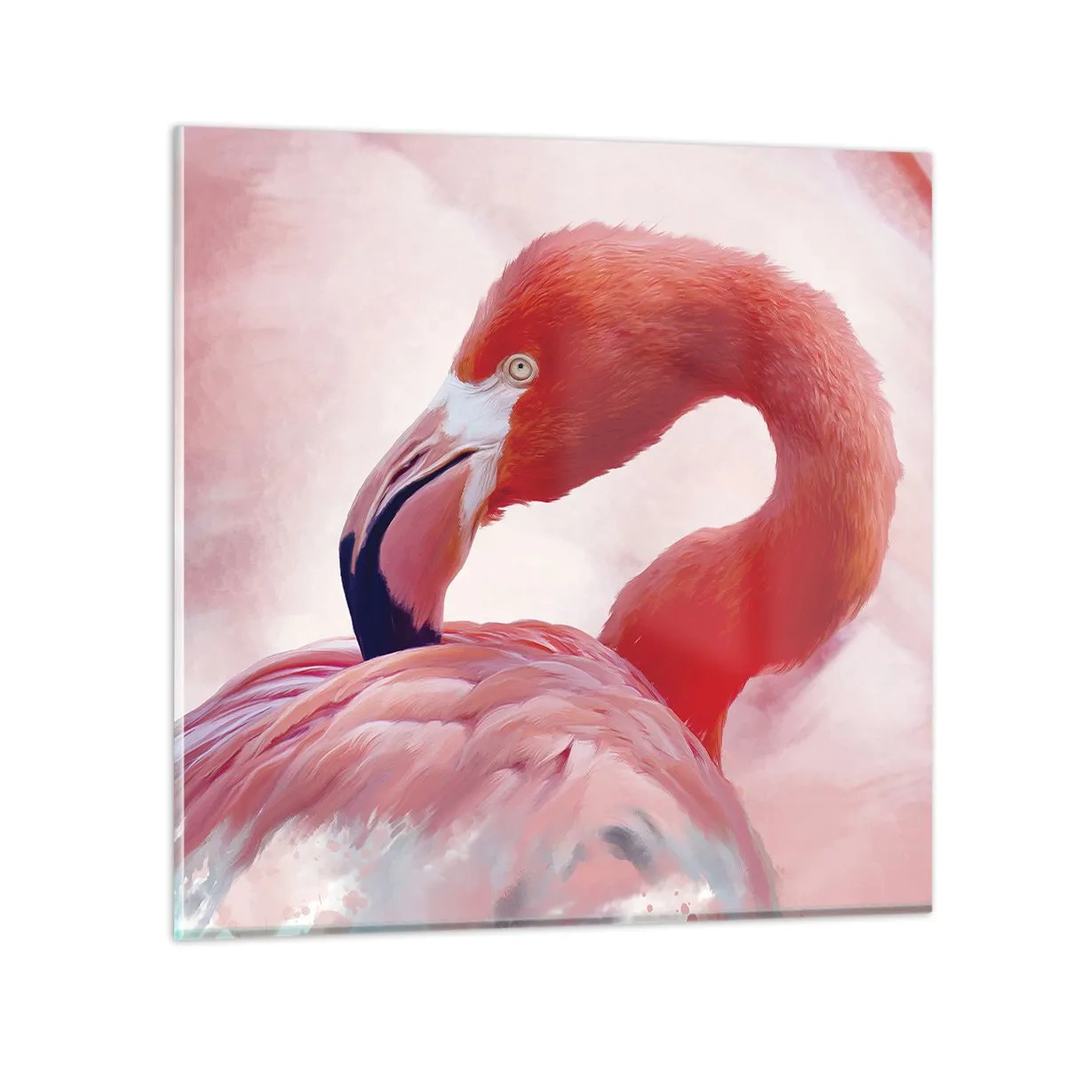 Obraz na szkle - Ptasia uroda - 50x50 cm