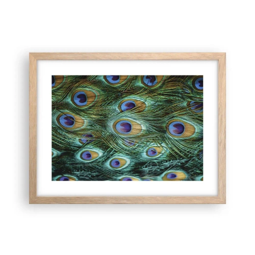 Plakat w ramie jasny dąb - Pawiookie spojrzenie - 40x30 cm