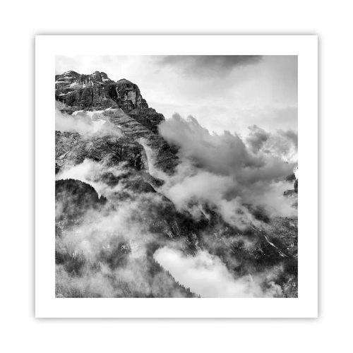 Plakat - Piękne i okrutne - 50x50 cm