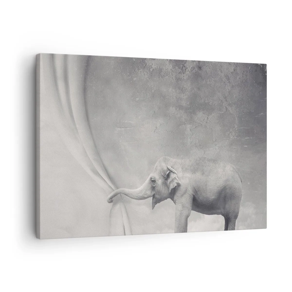 Obraz na płótnie - Słoń odsłaniający zasłonę w surrealistycznym czarno-białym ujęciu - 70x50cm - Odsłonić tajemnicę - Nowoczesna dekoracja ścienna do salonu i sypialni ARTTOR