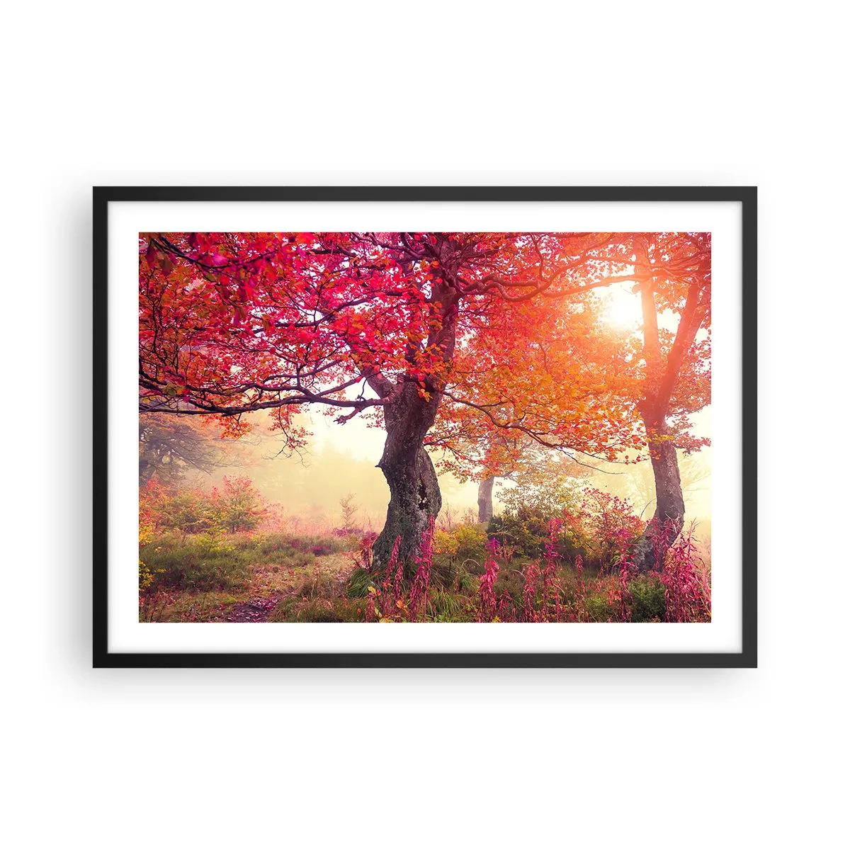 Plakat w czarnej ramie - Jesienny krajobraz z drzewami w intensywnych kolorach - 70x50cm - Szał rozkwitu - Nowoczesna dekoracja ścienna do salonu i sypialni ARTTOR