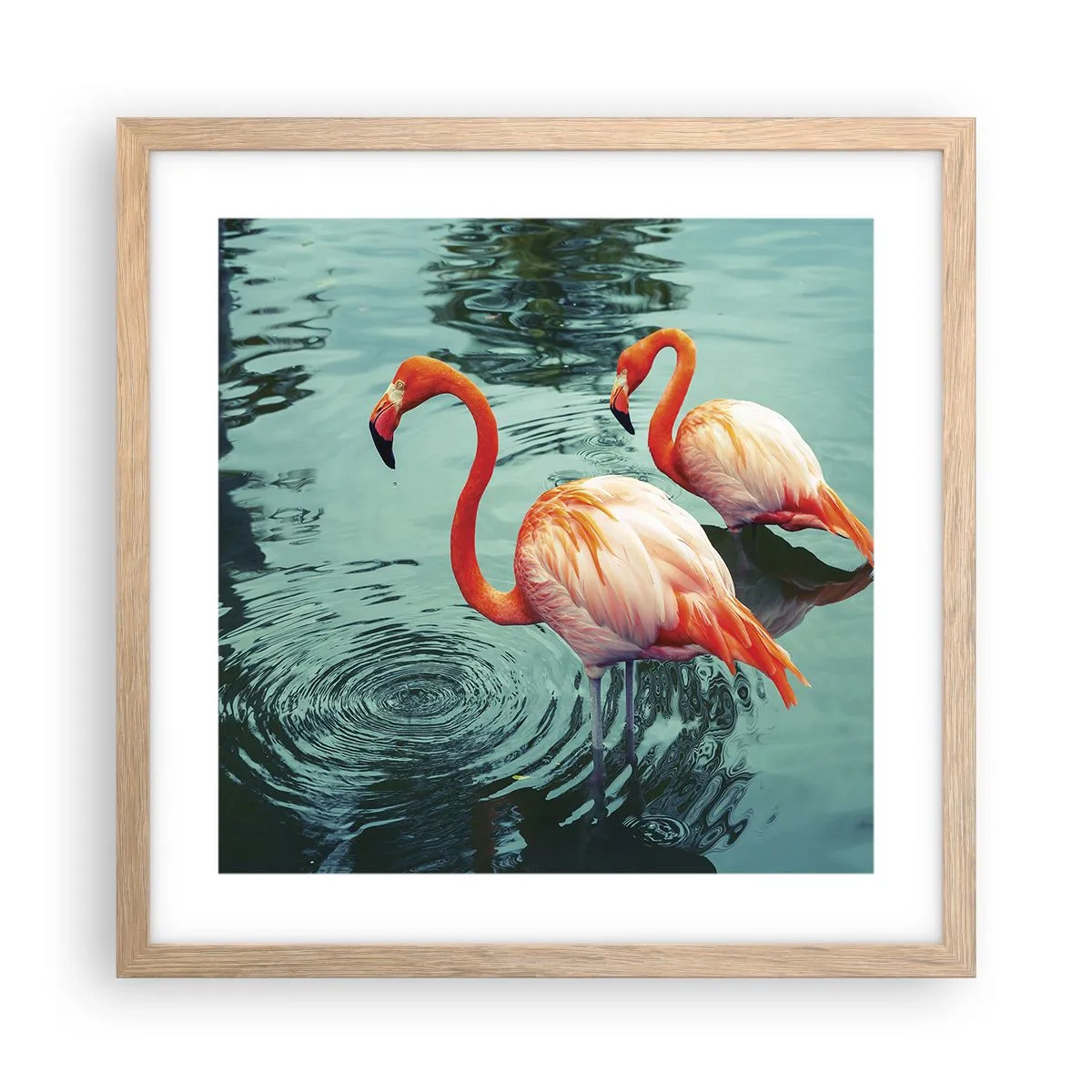 Plakat w ramie jasny dąb - Jesteśmy teraz w modzie - 40x40 cm