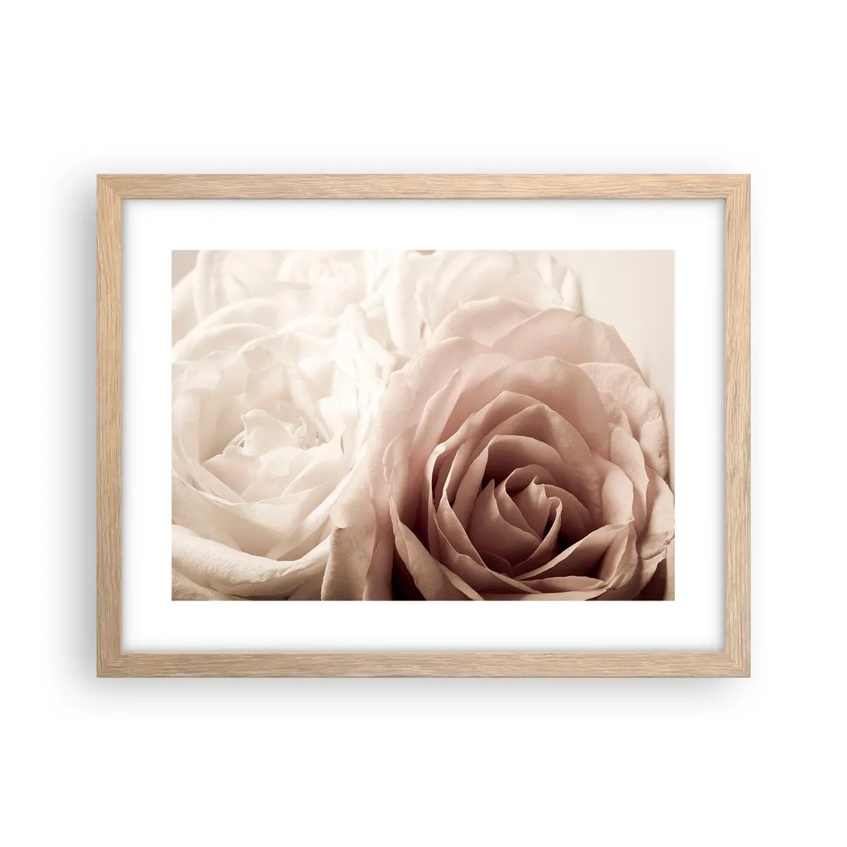 Plakat w ramie jasny dąb - W sercu róży - 40x30 cm