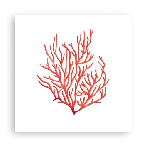 Plakat - Koralowy filigran - 50x50 cm