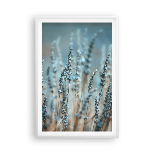 Plakat w białej ramie - Pachnący łan - 61x91 cm