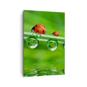 Obraz na płótnie - Biedronki na źdźble trawy z kroplami rosy w naturalnym otoczeniu - 70x100cm - W drodze całe lato - Nowoczesna dekoracja ścienna do salonu i sypialni ARTTOR