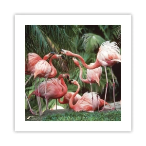 Plakat - Popołudniowe ploteczki - 40x40 cm