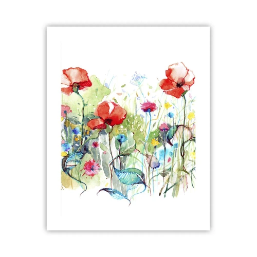 Plakat - Kwitnąca majem łąka - 40x50 cm